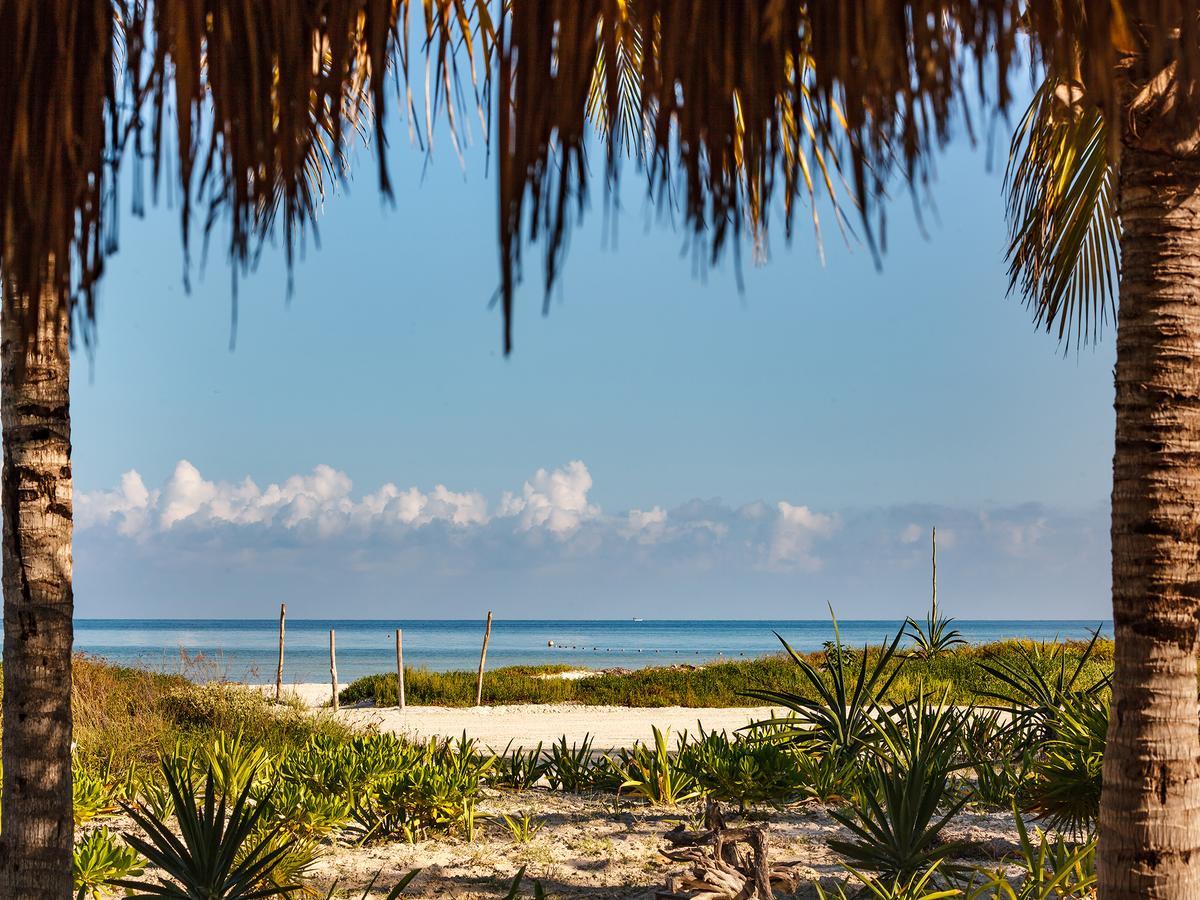 Villas Hm Palapas Del Mar Isla Holbox Exterior foto